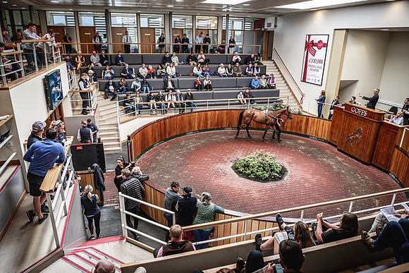 Goffs UK Spring Sale 22 Day 4-106