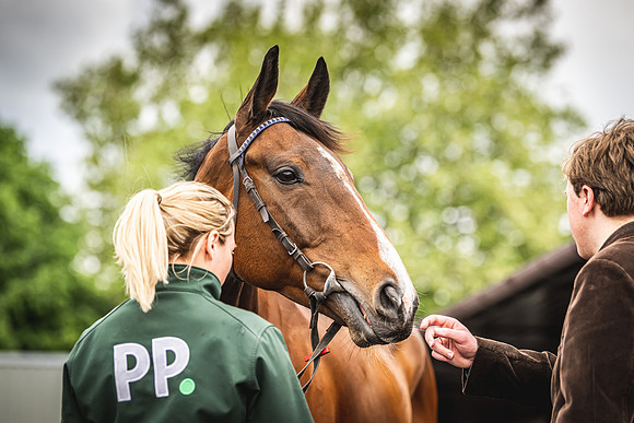 Goffs UK Spring Sale 22 Day 4-43