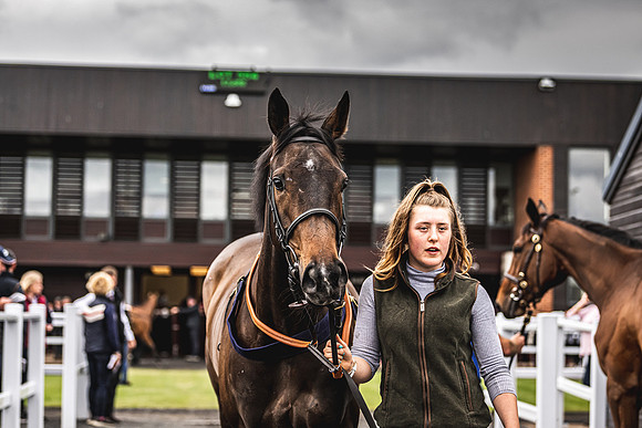 Goffs UK Spring Sale 22 Day 4-62