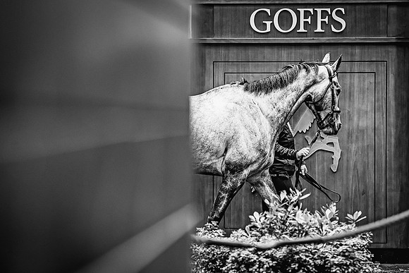 Goffs UK Spring Sale 22 Day 4-84