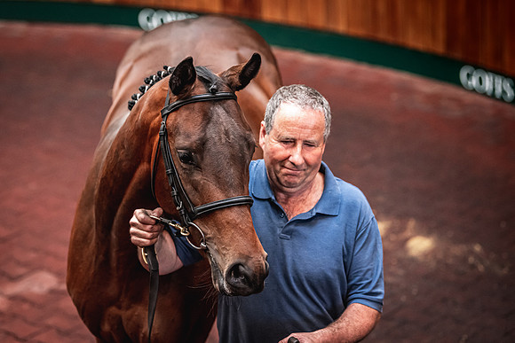 Goffs UK Spring Sale 22 Day 4-24