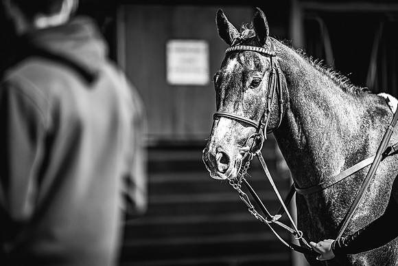 Goffs UK Spring Sale 22 Day 4-168