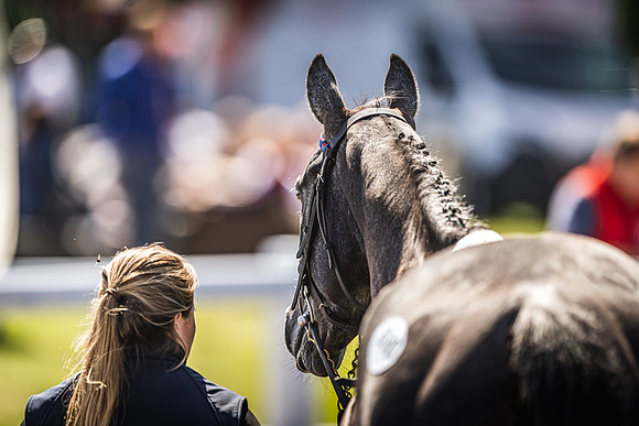 Goffs UK Spring Sale 22 Day 4-138