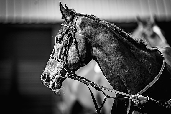 Goffs UK Spring Sale 22 Day 4-121