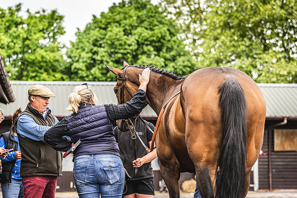 Goffs UK Spring Sale 22 Day 4-56