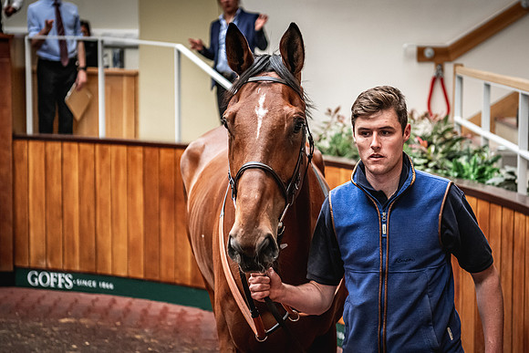 Goffs UK Spring Sale 22 Day 4-108
