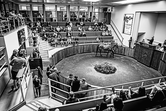 Goffs UK Spring Sale 22 Day 4-105