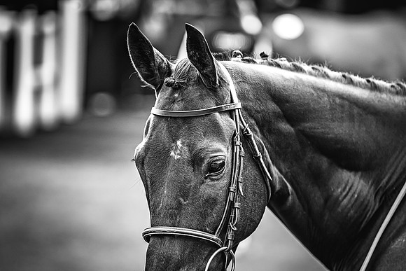Goffs UK Spring Sale 22 Day 4-67