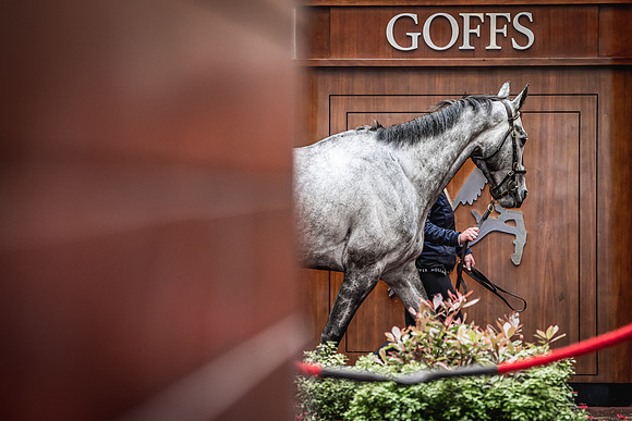 Goffs UK Spring Sale 22 Day 4-85