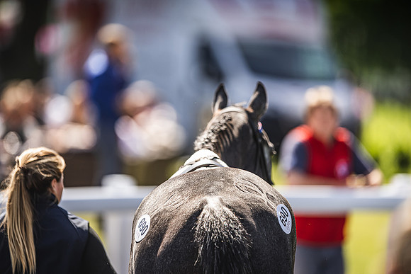 Goffs UK Spring Sale 22 Day 4-139