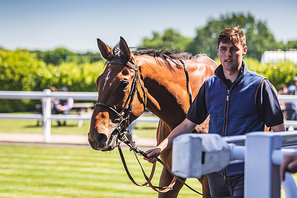 Goffs UK Spring Sale 22 Day 4-101