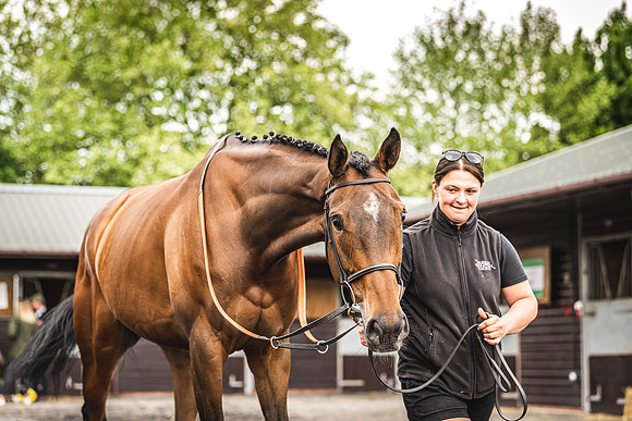 Goffs UK Spring Sale 22 Day 4-48