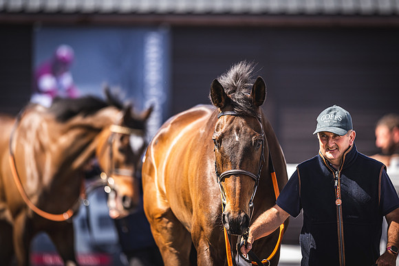 Goffs UK Spring Sale 22 Day 4-119