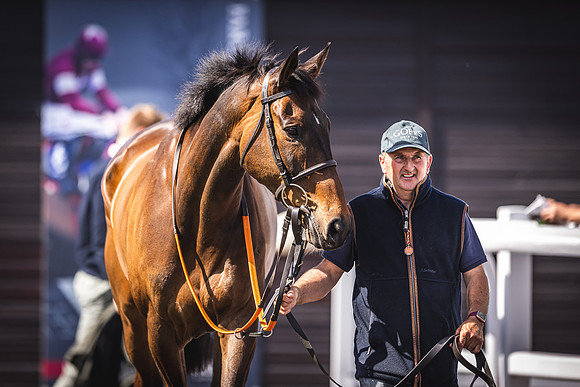 Goffs UK Spring Sale 22 Day 4-116