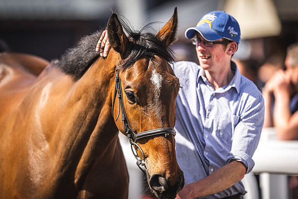 Goffs UK Spring Sale 22 Day 4-126