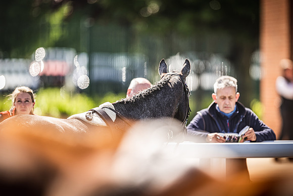 Goffs UK Spring Sale 22 Day 4-143