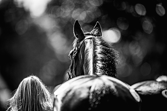 Goffs UK Spring Sale 22 Day 4-128