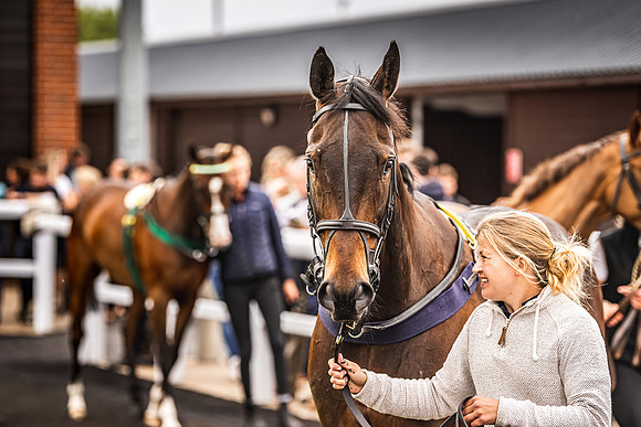 Goffs UK Spring Sale 22 Day 4-72