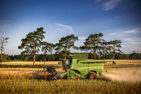 Combining Overbury July 2022-15