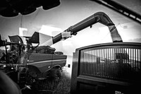Combining Overbury July 2022-9