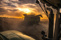Combining Overbury July 2022-14