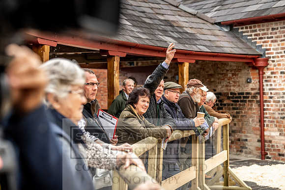 GUK Yorton Sale 2019-264