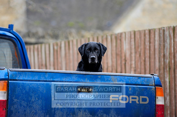 Broadmoor shoot 001