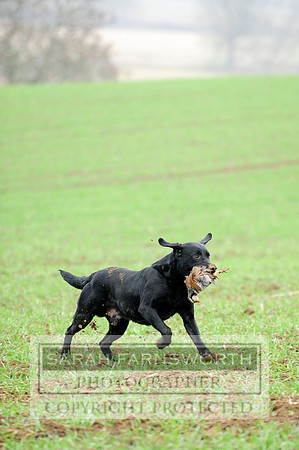 Broadmoor shoot 014