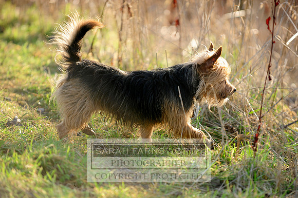 Copy of Broadmoor shoot 085