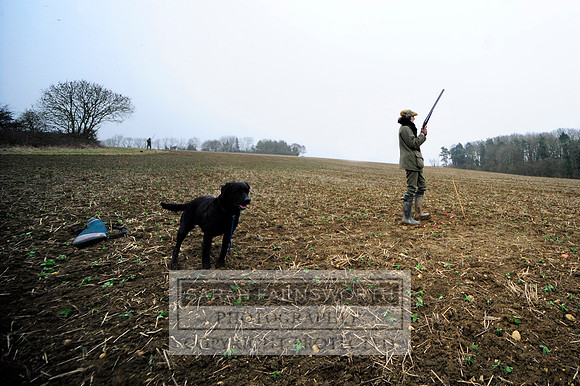 Broadmoor shoot 054