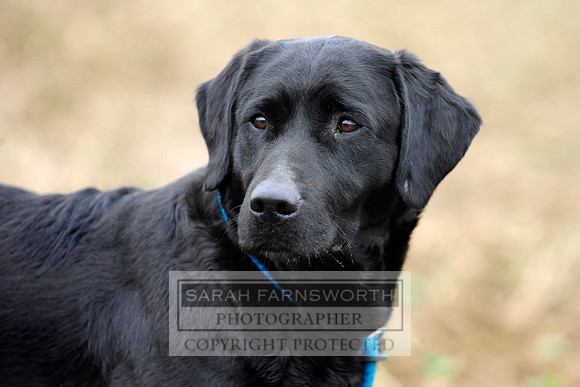 Copy (2) of Broadmoor shoot 041