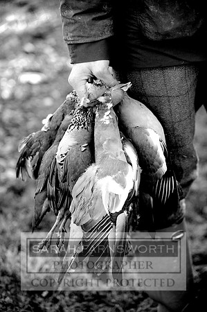 Broadmoor shoot 131 bw