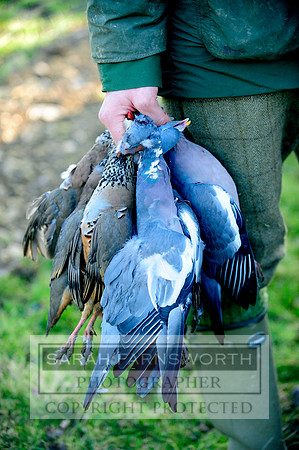 Broadmoor shoot 131