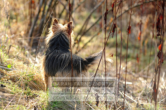 Broadmoor shoot 084
