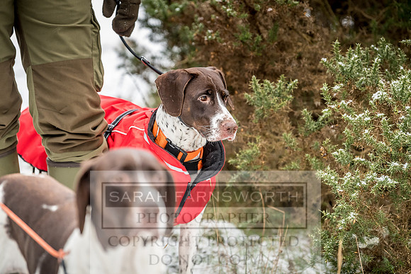 Roxby Shoot January 2019-34