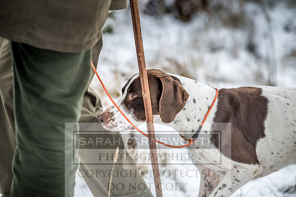 Roxby Shoot January 2019-24
