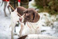 Roxby Shoot January 2019-33