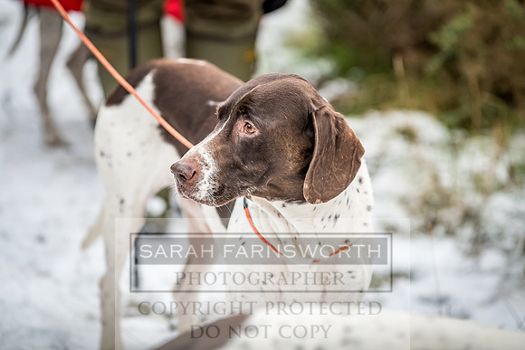 Roxby Shoot January 2019-33