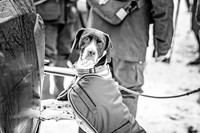 Roxby Shoot January 2019-26