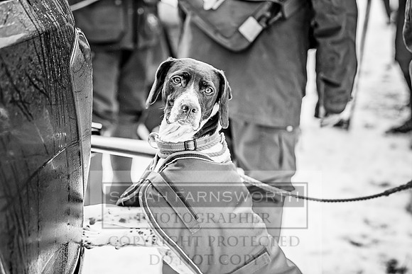 Roxby Shoot January 2019-26