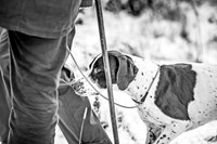 Roxby Shoot January 2019-23