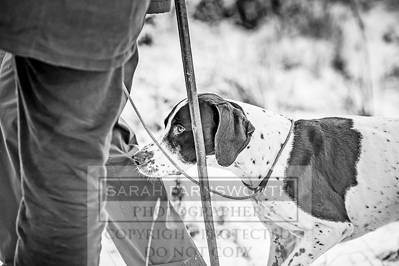Roxby Shoot January 2019-23