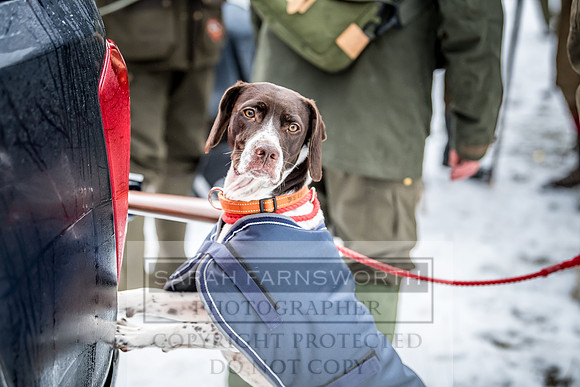 Roxby Shoot January 2019-27