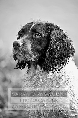 Drake 260214 CF1 561 bw