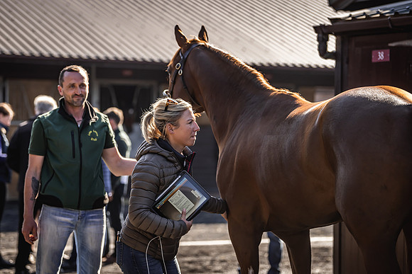Goffs UK Breeze Up 2022-141