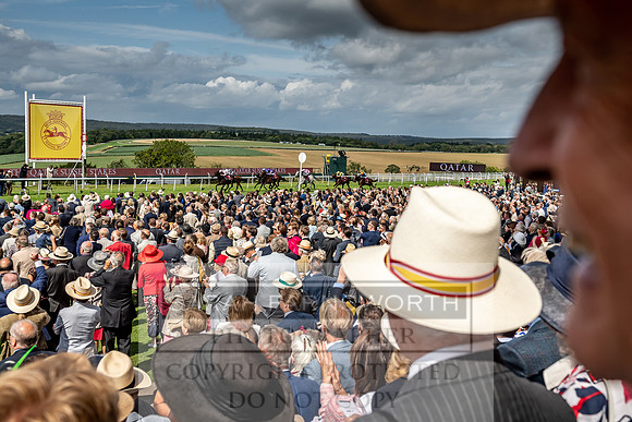 GUK Goodwood Sale 2019-148