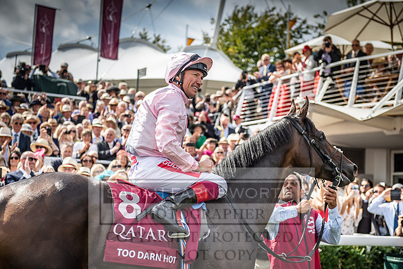 GUK Goodwood Sale 2019-179