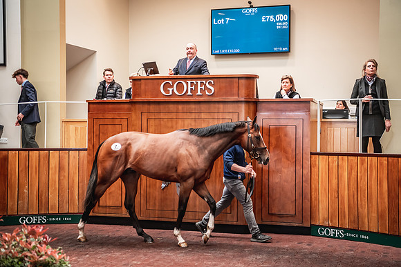 Goffs UK Breeze Up 2022-215