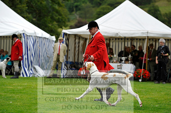 Rydal 2014 CF2 358