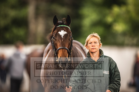 Goffs Orby 2022 Day 1-44